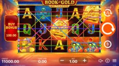 Book of Gold Multichance slot game reel