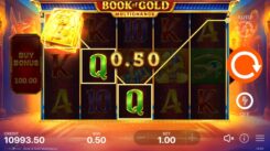 Book of Gold Multichance slot game win