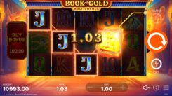 Book of Gold Multichance slot game won