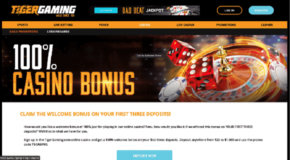 TigerGaming Casino Casino Bonus