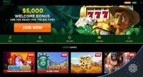 Wild Casino Bonus Games